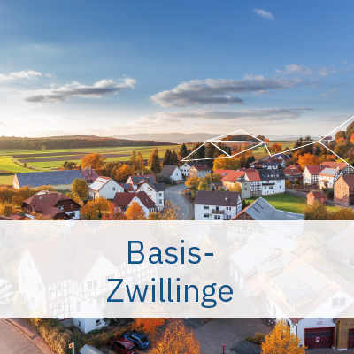 Basis Zwilling