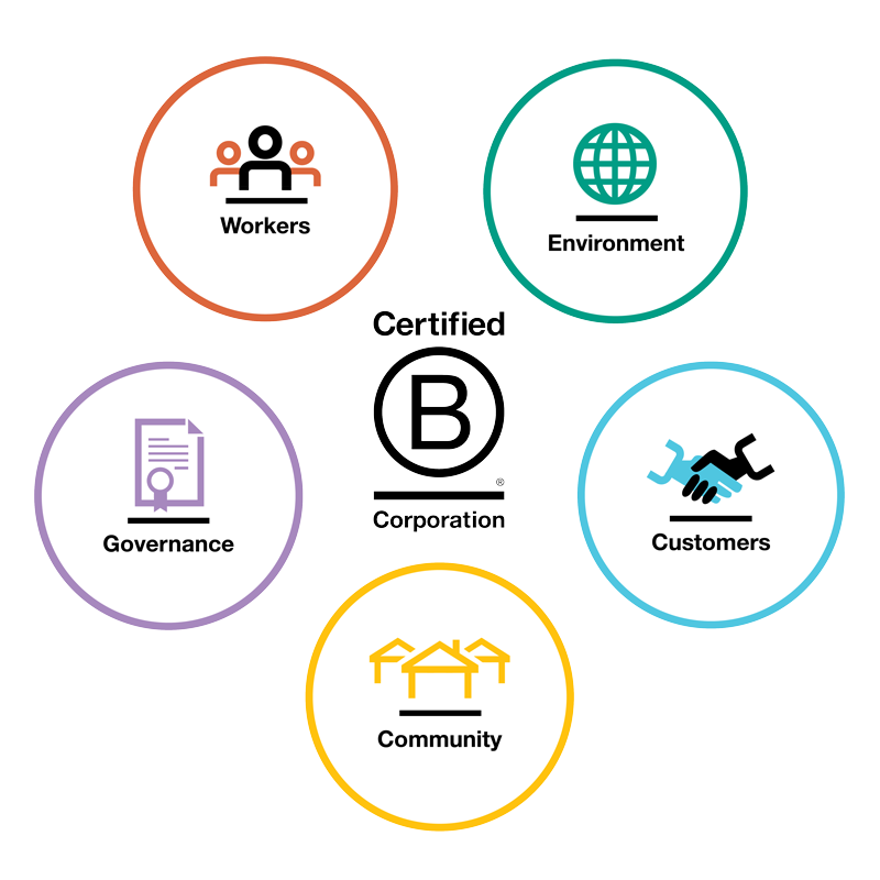 B Corp Impact Areas